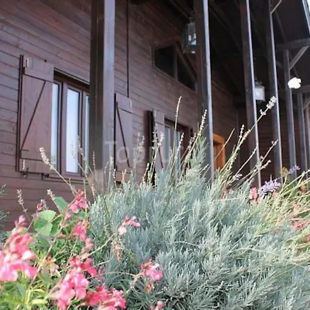 Finca Los Castillos Casa Rural Vakantiehuis *